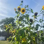 Noah\'S House - Messe And Airport