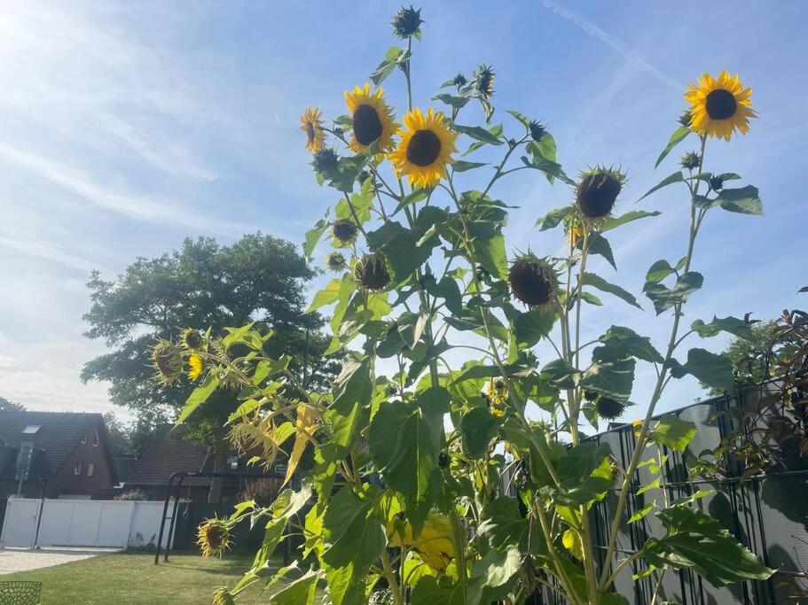 Noah's House - Messe And Airport Villa